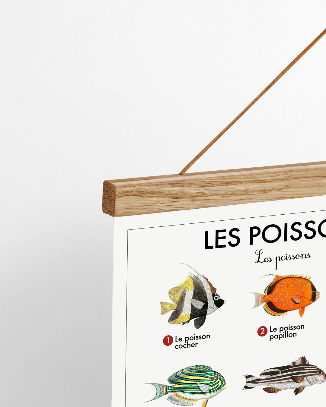 Planche scolaire - Les poissons